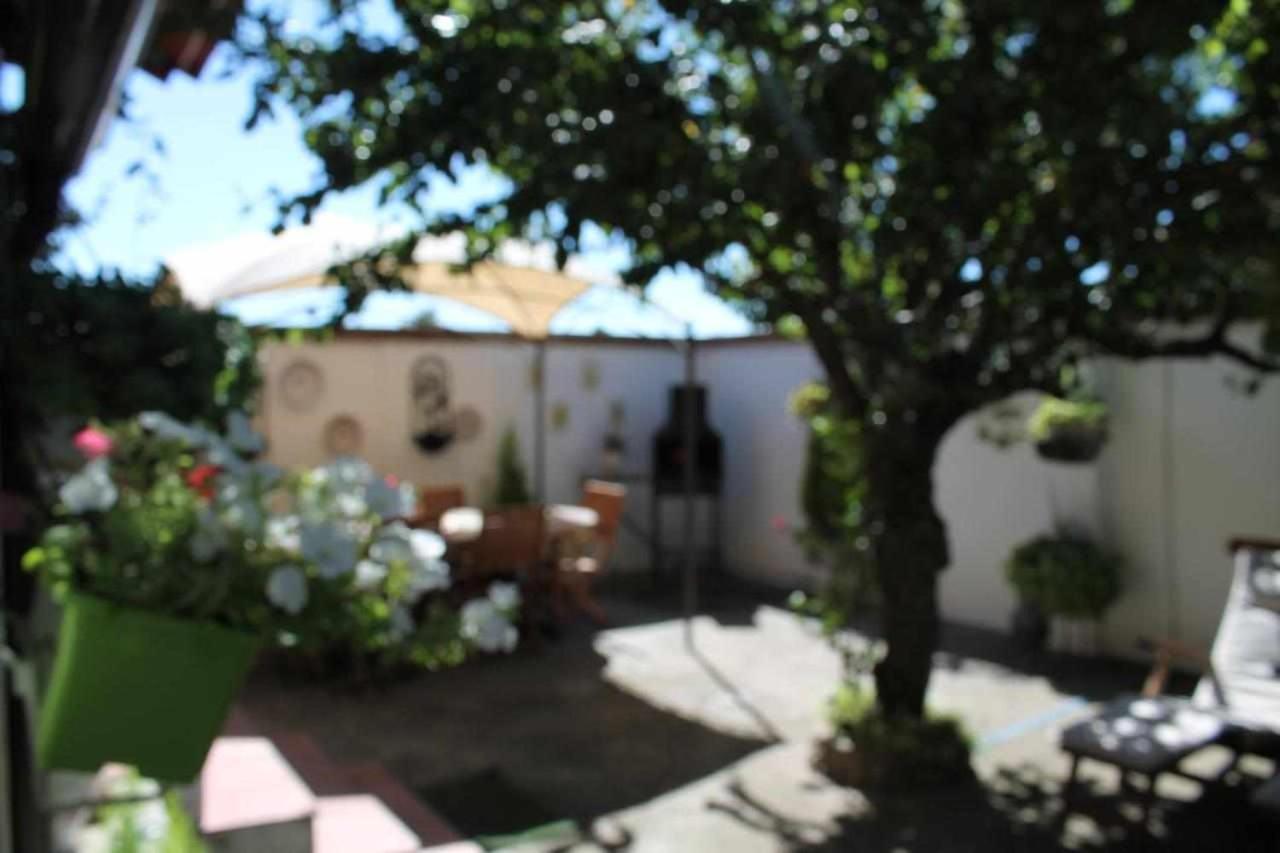 Alojamiento La Olmedana Olmedo Exterior foto