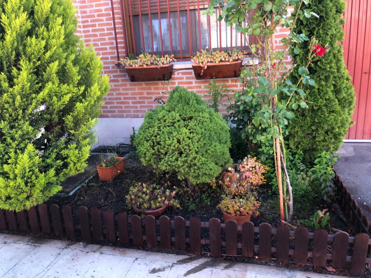 Alojamiento La Olmedana Olmedo Exterior foto